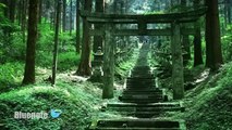 海外の反応「この神々しさは何なんだ！」日本の神社の異世界感が海外ネットで話題に