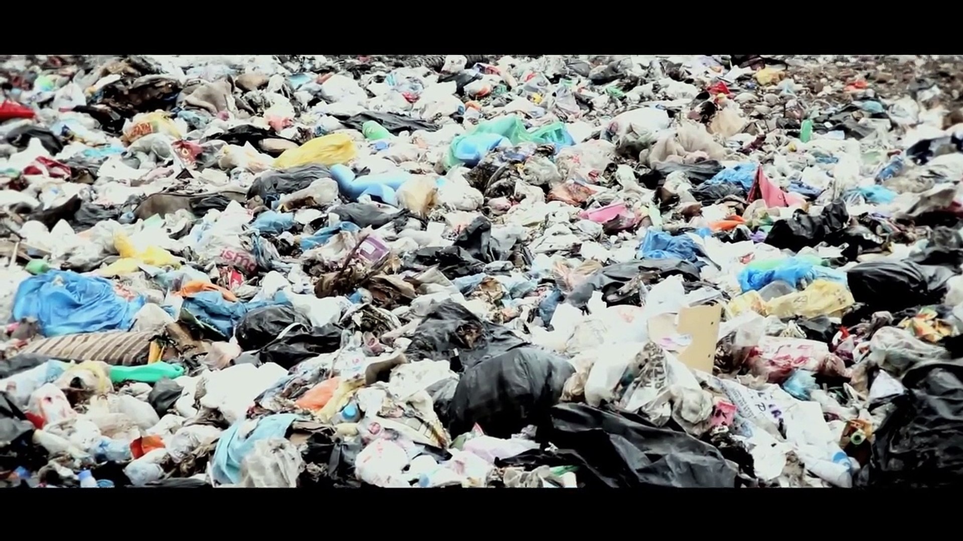 ⁣Sharing Zero: Subaru of Indiana Helps Companies Work Toward Zero-landfill Status