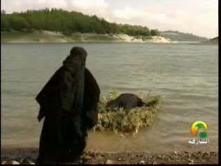 شاهد اليمامة و هي تلقي بالزير سالم في النهر و هو مصاب