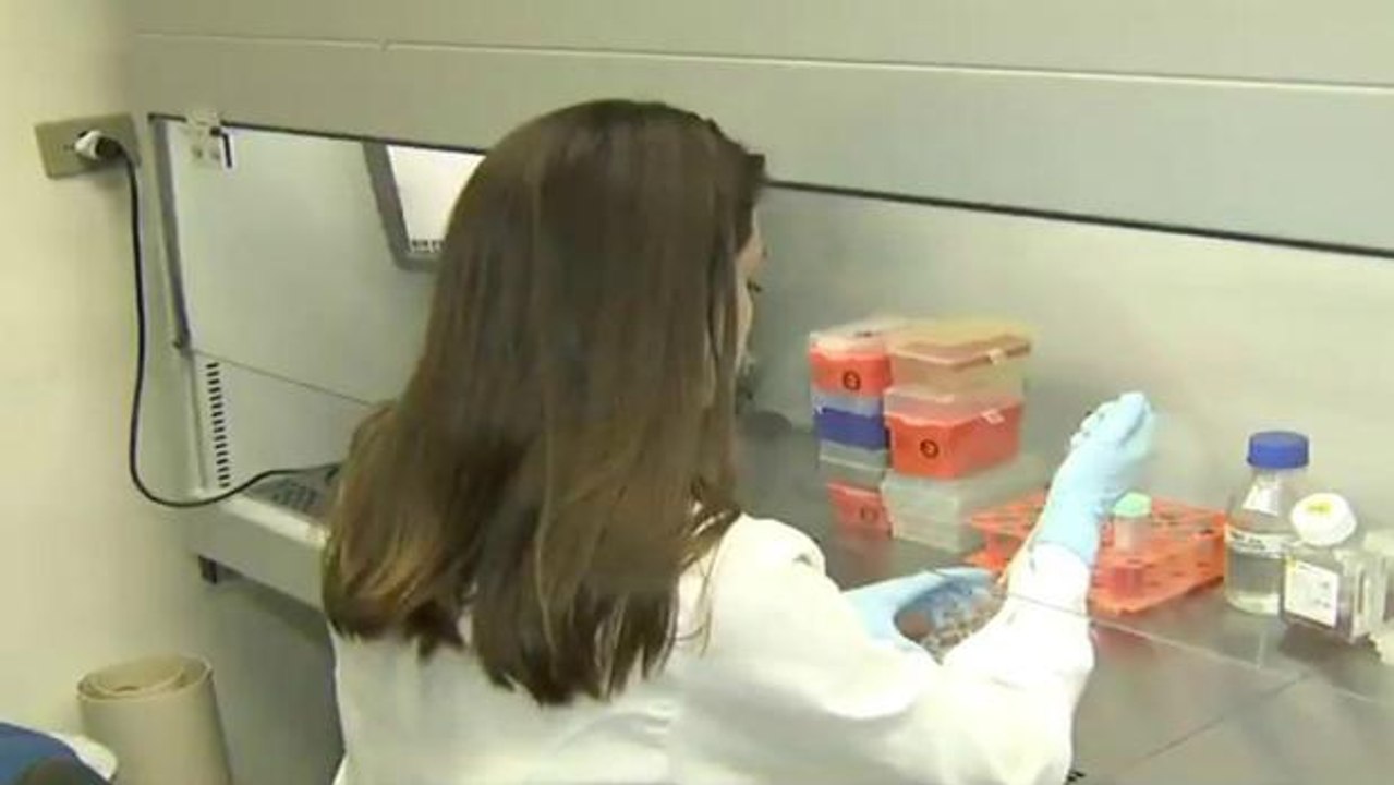 Pesquisadores descobrem como zika vírus age no cérebro dos bebês