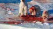 Grizzly Bear vs Polar Bear Real Wild Brutal Fight!! Insane Animal Fight!!