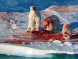 Grizzly Bear vs Polar Bear Real Wild Brutal Fight!! Insane Animal Fight!!