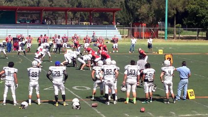 mustangs aztecas