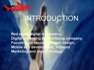 Web Design Wilmington NC