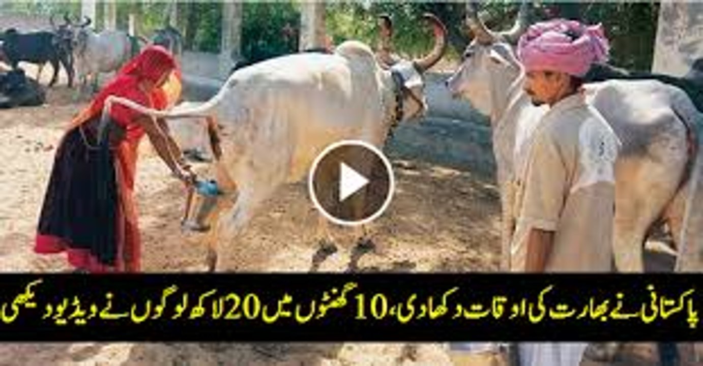 Funny Parody Song of Phir Bhi Dil Hai Hindustani