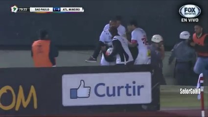 Fan Falls Through The Fence After Sao Paulo Score A Goal vs Atletico Mineiro!