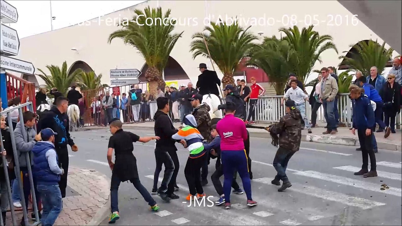 Palavas-Feria-Concours d'Abrivado-08/05/2016