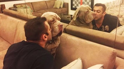 Salman Khan Express 'Unconditional' LOVE For His DOG!