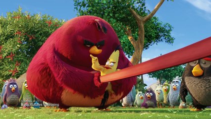 Angry Birds - Clip - Chuck Slingshot