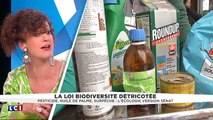 [Yolaine sur LCI] Loi biodiversité : tu veux ou tu veux pas ?