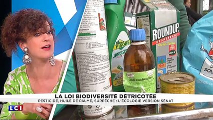 [Yolaine sur LCI] Loi biodiversité : tu veux ou tu veux pas ?