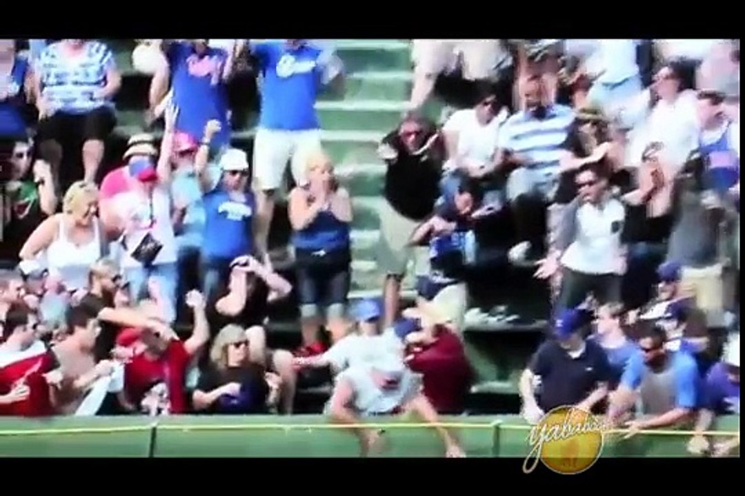 Baseball fans video collection