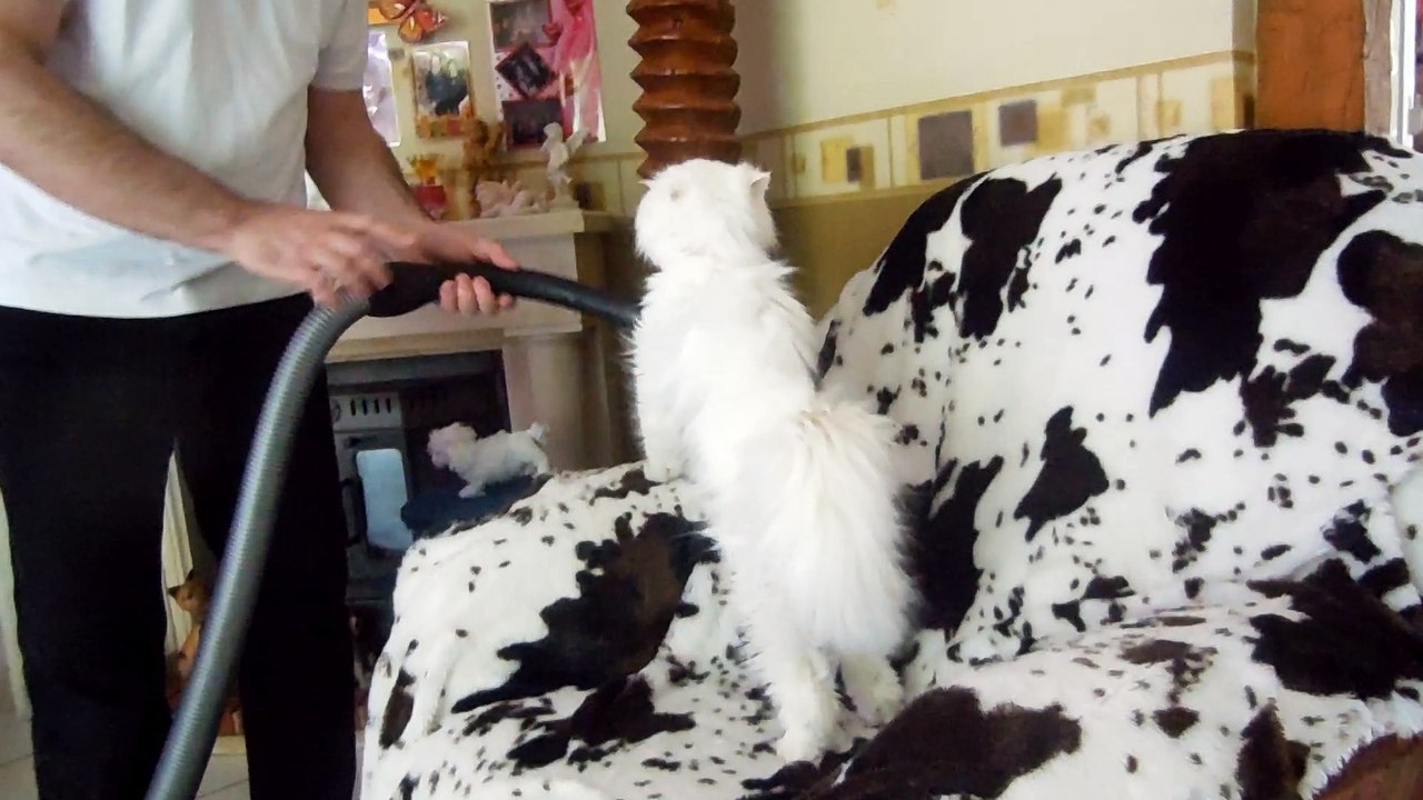 Flocon et l'aspirateur