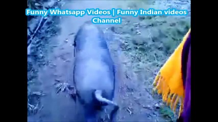 FUNNY INDIAN WHATSAPP VIDEOS   INDIAN FUNNY VIDEOS COMPILATION