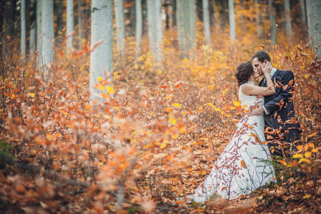 Sandra & Thomas wedding movie