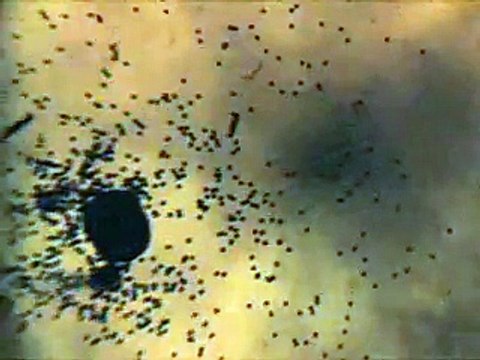 Ce tank peut tirer des obus contenant 120 balles en un coup !