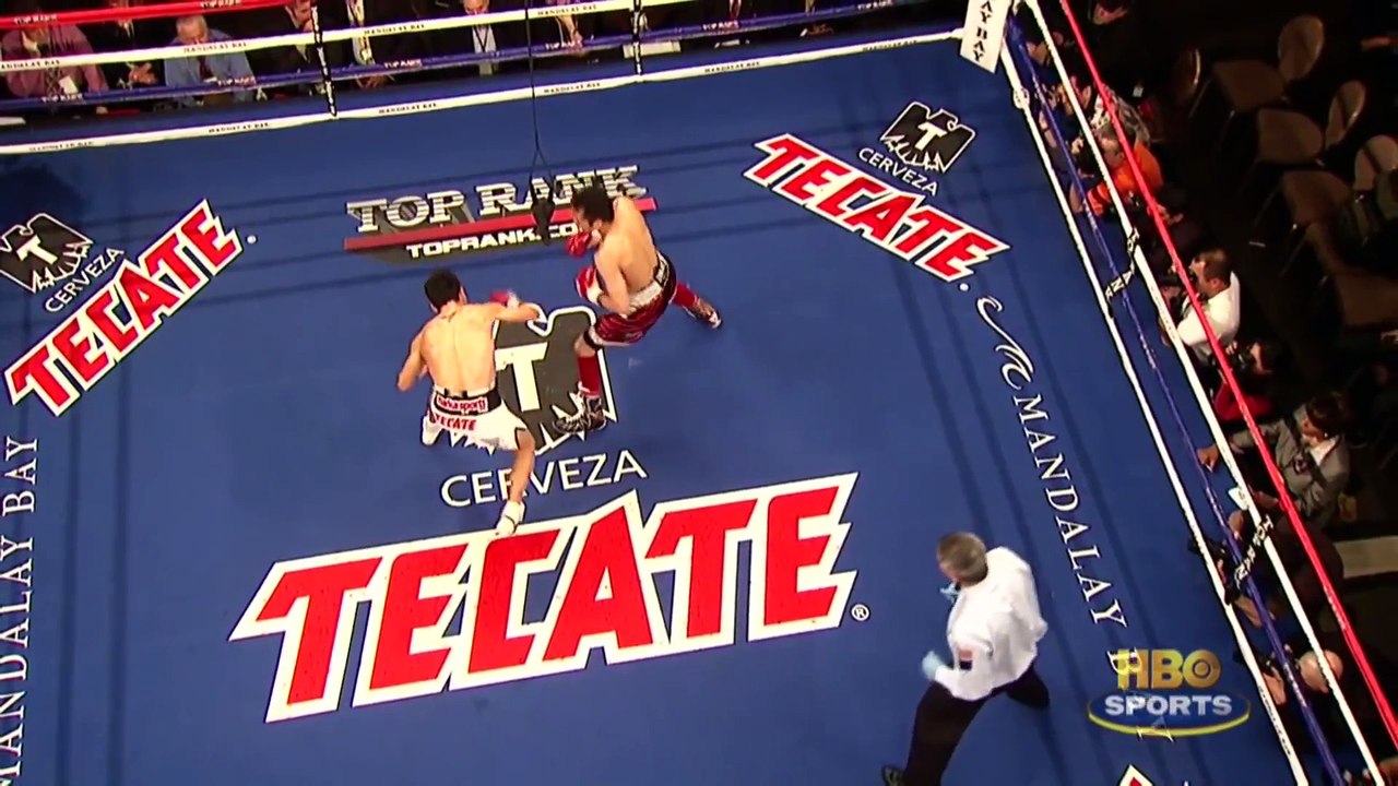 Most Brutal Knockouts Compilation Knockout Collection