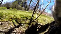 Cet écureuil s’empare de sa GoPro et court se filmer dans les arbres !