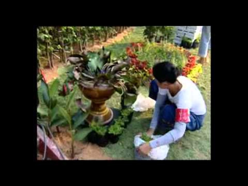 SCGgameneramit08 04