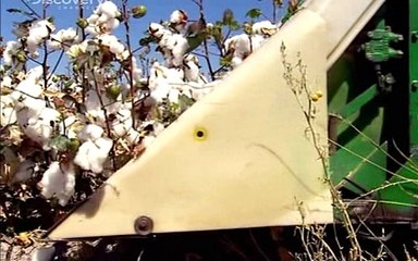 Hogyan Csinálják S05 E19