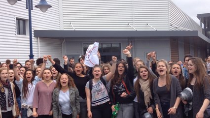 "49.3, on n'en veut pas !" Les lycéens d'Auray en colère