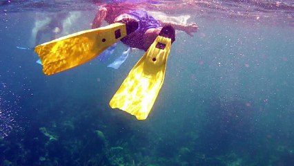 Snorkeling the World's Second Largest Barrier Reef in Honduras