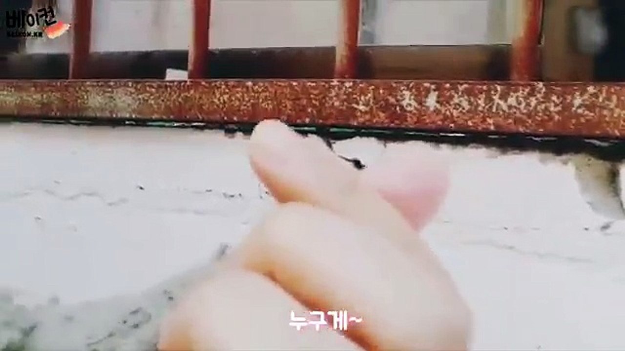 귀여운 동혁이