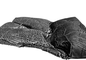 Animation 3D, microreliefs de minières (forêt de Bercé, secteur de la fontaine de la Coudre)