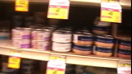 Talking Kitty Cat 10 - Help Todd