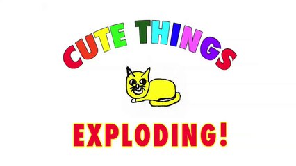 Surprised Kitty ... EXPLODING!!!