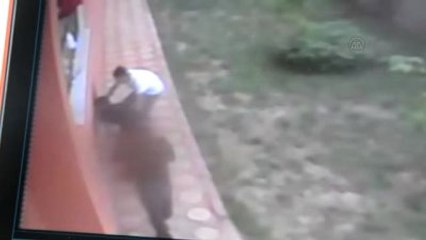 Güvercin Hırsızlığı Güvenlik Kamerasında