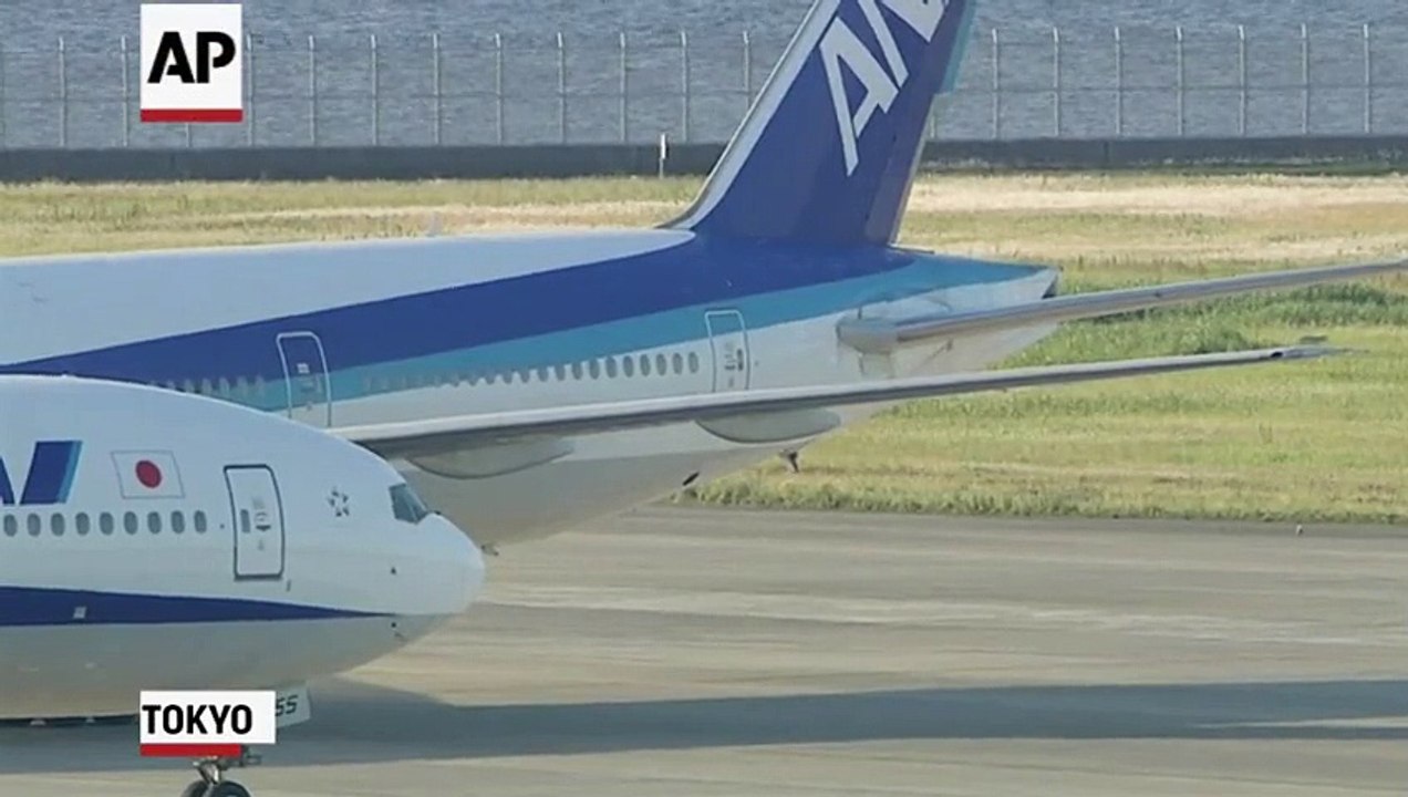 Dogs Disrupt Tokyo Airport Runways for Flight