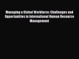 PDF Managing a Global Workforce: Challenges and Opportunities in International Human Resource
