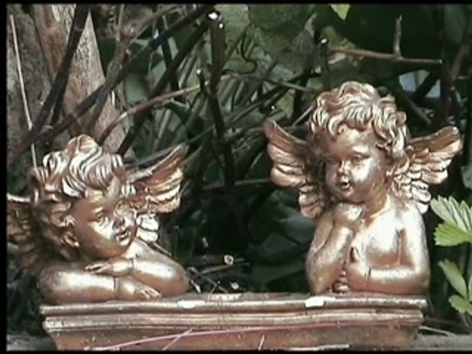 Ptits anges