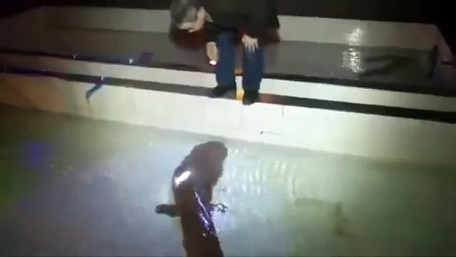 Top 10 Mysterious Creatures Caught on Tape