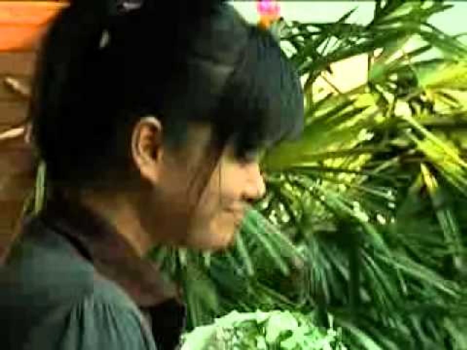ขอแต่งงาน ศึกน้ำผึ้งพระจันทร์ - OA080254