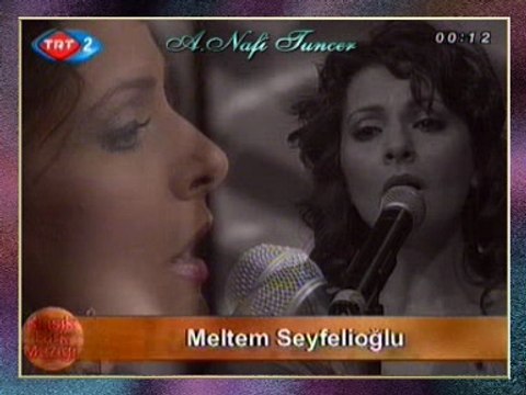 Meltem SEYFELİOĞLU - Unutmadım Seni Ben Her Zaman Kalbimdesin