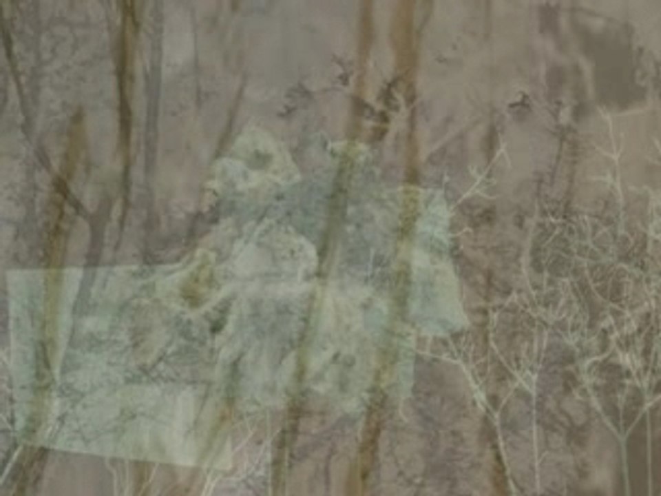 Terra Incognita