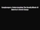 Download Gangbangers: Understanding The Deadly Minds Of America's Street Gangs PDF Free