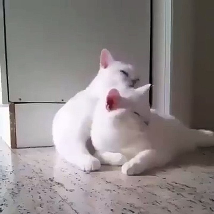 Cute Romantic Couple