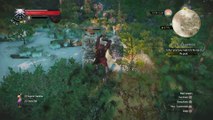 WITCHER 3 DEATH MARCH! WALKTHROUGH 267 - THE PATH OF WARRIORS