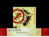 Ant Crew  - Bootylicious (Deutsch Hip-Hop)