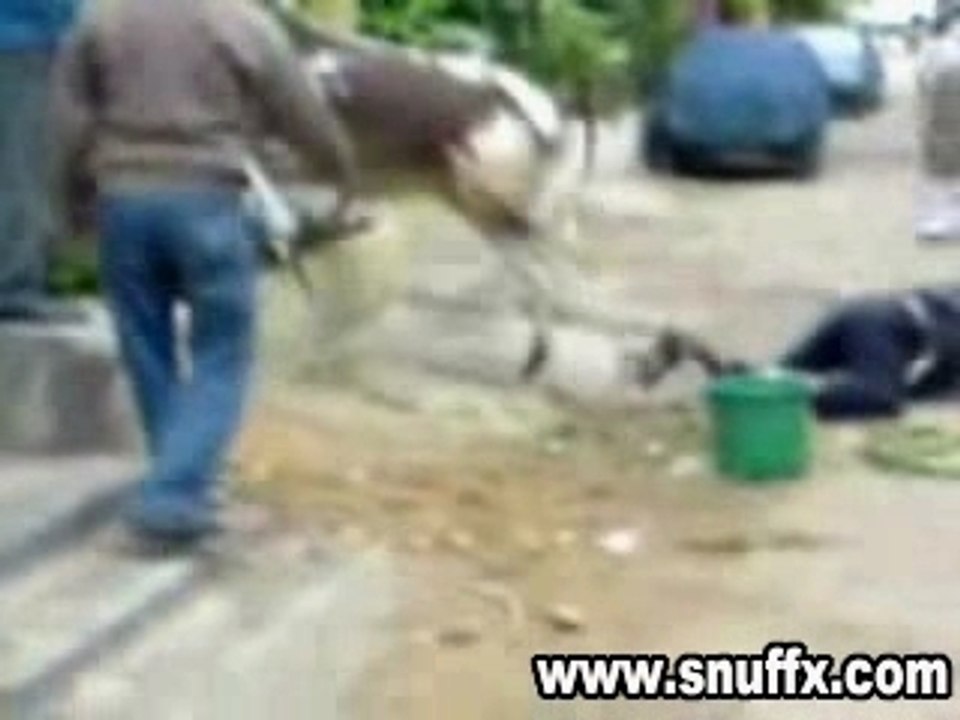 Coup de pied de vache