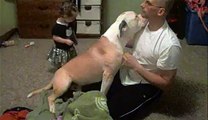 Papà stava giocando con il cane sul tappeto, ma quando la sua piccola bambina appare...