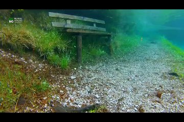 Worlds Weirdest Events | Series 1 - 7 of 8 [English Subtitles]