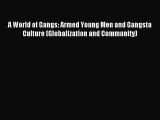 Read A World of Gangs: Armed Young Men and Gangsta Culture (Globalization and Community) Ebook