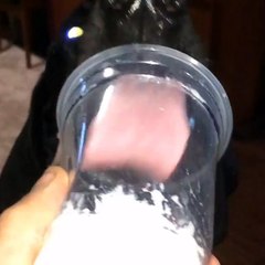 Dog Royalty - Devil dog does milkshake