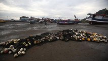 Marea roja en Chiloé se convierte en segundo episodio más grande en el mundo