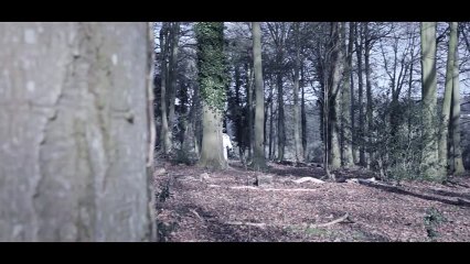 LONELY ROBOT   Are We Copies (OFFICIAL VIDEO)