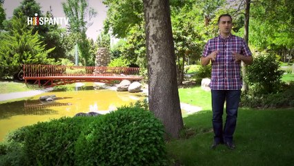 Irán Hoy - Relaciones económicas de Irán con Asia Oriental